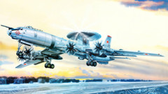 Самолет дальнего радиолокационного обнаружения (ДРЛО) Ту-126